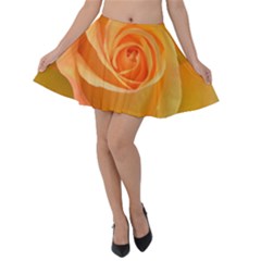 Flower Plant Rose Nature Garden Orange Macro Velvet Skater Skirt