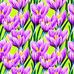 Watercolor Crocus Spring Flowers