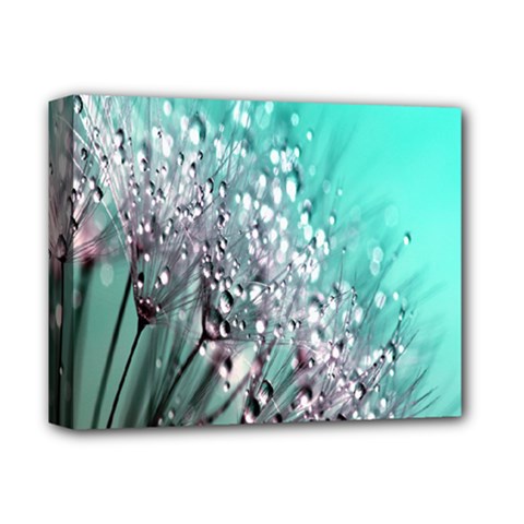 Dandelion Deluxe Canvas 14  X 11  (stretched) by artworkshop