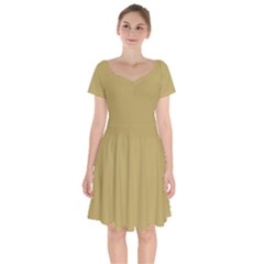 Greenish Hazelnut	 - 	short Sleeve Bardot Dress