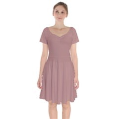 Rosy Brown	 - 	short Sleeve Bardot Dress