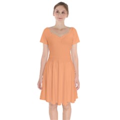 Medium Papaya Orange	 - 	short Sleeve Bardot Dress