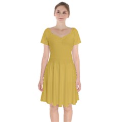 Metallic Gold	 - 	short Sleeve Bardot Dress