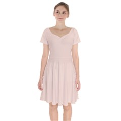 Silver Peony	 - 	short Sleeve Bardot Dress