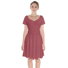 Rosewood	 - 	short Sleeve Bardot Dress