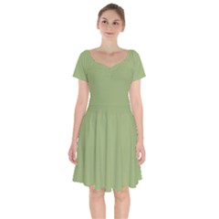 Iguana Green	 - 	short Sleeve Bardot Dress