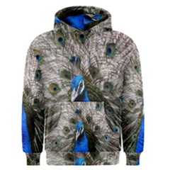 Peacock Bird Animal Feather Nature Colorful Men s Core Hoodie