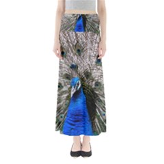 Peacock Bird Animal Feather Nature Colorful Full Length Maxi Skirt