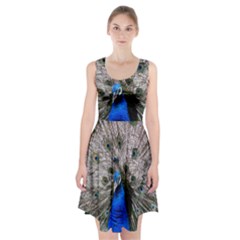 Peacock Bird Animal Feather Nature Colorful Racerback Midi Dress