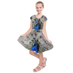 Peacock Bird Animal Feather Nature Colorful Kids  Short Sleeve Dress