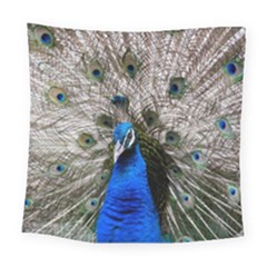 Peacock Bird Animal Feather Nature Colorful Square Tapestry (large)