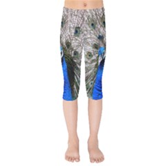 Peacock Bird Animal Feather Nature Colorful Kids  Capri Leggings 