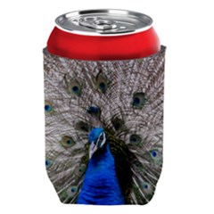 Peacock Bird Animal Feather Nature Colorful Can Holder