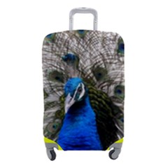 Peacock Bird Animal Feather Nature Colorful Luggage Cover (small)