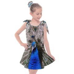 Peacock Bird Animal Feather Nature Colorful Kids  Tie Up Tunic Dress