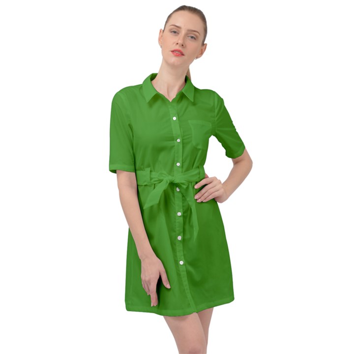 Spring Green	 - 	Belted Shirt Dress