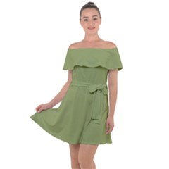 Light Moss Green	 - 	off Shoulder Velour Dress by ColorfulDresses