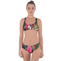 Flower Criss Cross Bikini Set by artworkshop