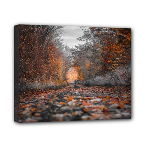 Breathe In Nature Background Canvas 10  X 8  (stretched)