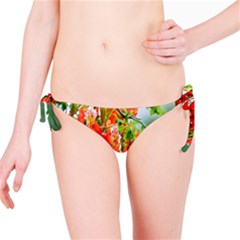 Gathering Sping Flowers Wallpapers Bikini Bottoms by artworkshop