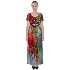 Gathering Sping Flowers Wallpapers High Waist Short Sleeve Maxi Dress