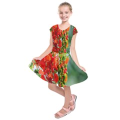 Gathering Sping Flowers Wallpapers Kids  Short Sleeve Dress by artworkshop