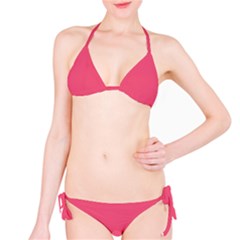 Punch Pink	 - 	bikini by ColorfulSwimWear