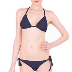 Slate Grey	 - 	bikini