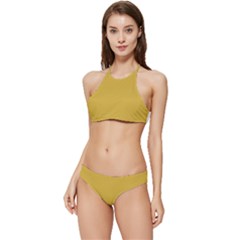 Metallic Gold	 - 	banded Triangle Bikini Set by ColorfulSwimWear