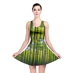 Green Forest Jungle Trees Nature Sunny Reversible Skater Dress