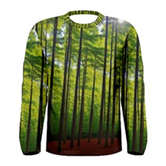 Green Forest Jungle Trees Nature Sunny Men s Long Sleeve Tee