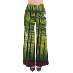 Green Forest Jungle Trees Nature Sunny So Vintage Palazzo Pants