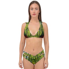 Green Forest Jungle Trees Nature Sunny Double Strap Halter Bikini Set