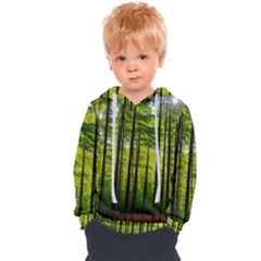 Green Forest Jungle Trees Nature Sunny Kids  Overhead Hoodie