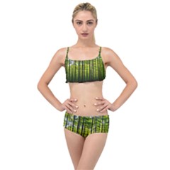 Green Forest Jungle Trees Nature Sunny Layered Top Bikini Set by Ravend