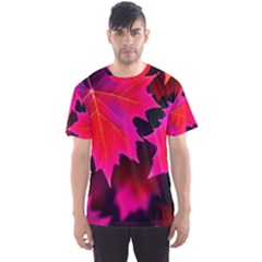 Leaves Purple Autumn Evening Sun Abstract Men s Sport Mesh Tee