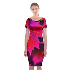 Leaves Purple Autumn Evening Sun Abstract Classic Short Sleeve Midi Dress