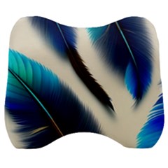 Feathers Pattern Design Blue Jay Texture Colors Velour Head Support Cushion