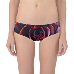 Purple Flower Rose Flower Black Background Classic Bikini Bottoms by Ravend