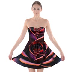 Purple Flower Rose Flower Black Background Strapless Bra Top Dress