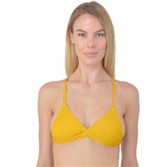 Aspen Gold	 - 	reversible Tri Bikini Top by ColorfulSwimWear