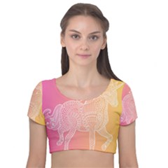 Unicorm Orange And Pink Velvet Short Sleeve Crop Top  by lifestyleshopee