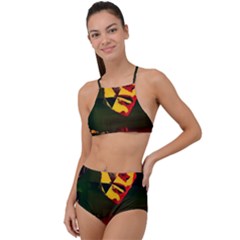 Counting Coup High Waist Tankini Set by MRNStudios