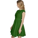 Lincoln Green	 - 	Cap Sleeve High Waist Dress View2