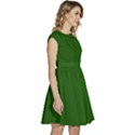 Lincoln Green	 - 	Cap Sleeve High Waist Dress View3