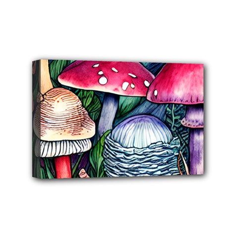 Foraging Mushroom Mini Canvas 6  x 4  (Stretched)