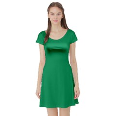 Spanish Green	 - 	short Sleeve Skater Dress by ColorfulDresses