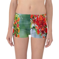 Gathering Sping Flowers  Reversible Boyleg Bikini Bottoms by artworkshop