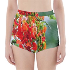 Gathering Sping Flowers  High-waisted Bikini Bottoms by artworkshop