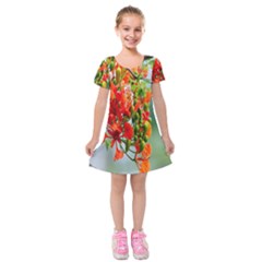 Gathering Sping Flowers  Kids  Short Sleeve Velvet Dress